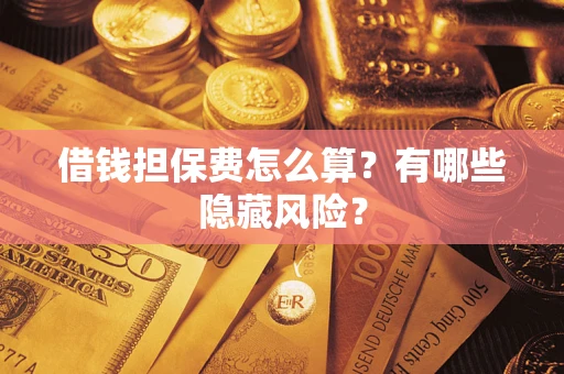武汉借钱担保费怎么算？有哪些隐藏风险？