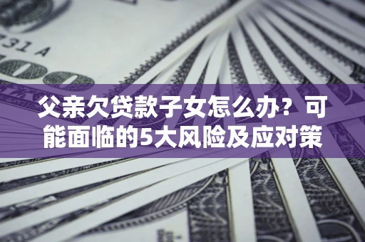 武汉父亲欠贷款子女怎么办？可能面临的5大风险及应对策略