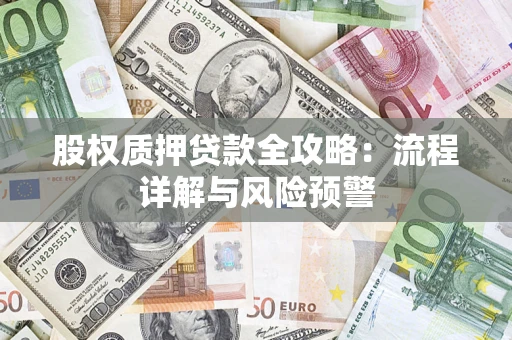 武汉股权质押贷款全攻略：流程详解与风险预警