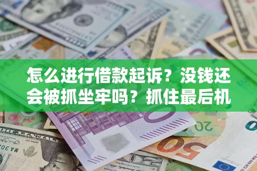 武汉怎么进行借款起诉？没钱还会被抓坐牢吗？抓住最后机会！