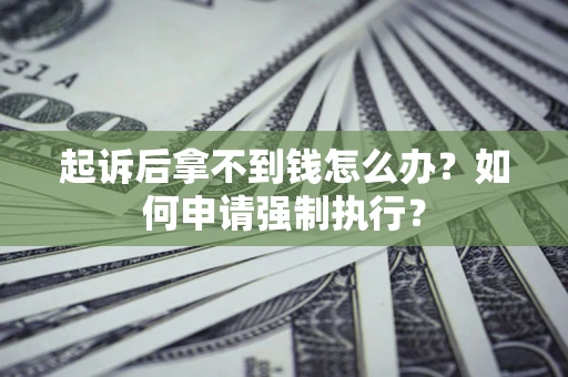 武汉起诉后拿不到钱怎么办？如何申请强制执行？