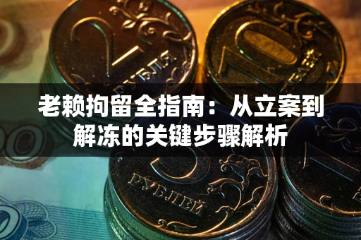 武汉老赖拘留全指南：从立案到解冻的关键步骤解析