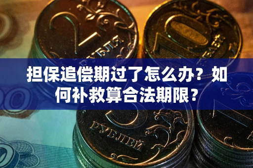 武汉担保追偿期过了怎么办？如何补救算合法期限？