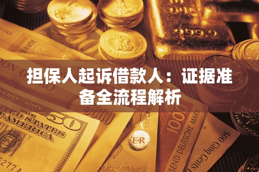 武汉担保人起诉借款人：证据准备全流程解析