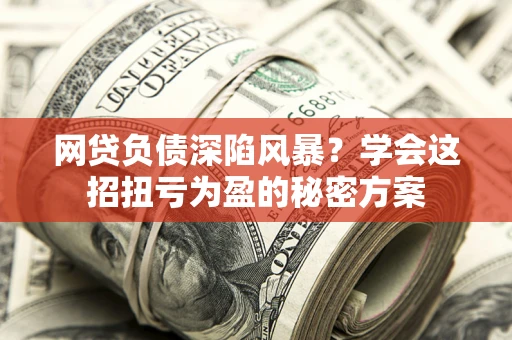 武汉网贷负债深陷风暴？学会这招扭亏为盈的秘密方案