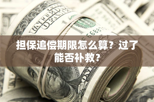 武汉担保追偿期限怎么算？过了能否补救？